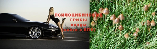 стафф Заволжск