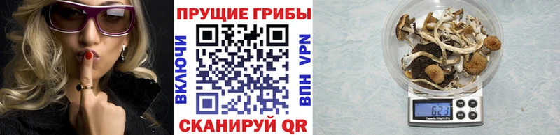 Купить  Красноармейск  Галлюциногенные грибы Cubensis 